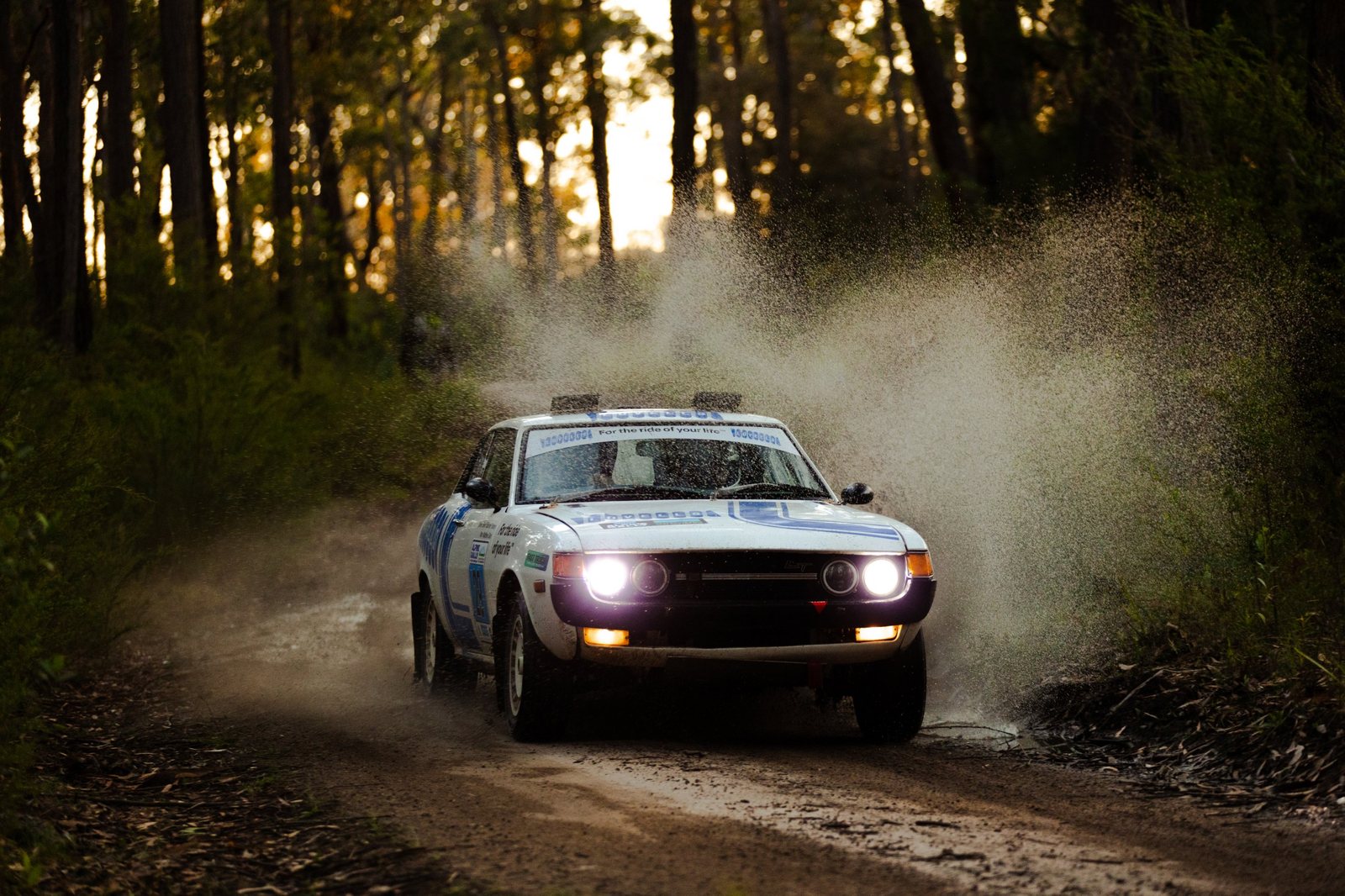 The Lovells rally car at speed on a forest stage at dusk, headlights on, spray behind it